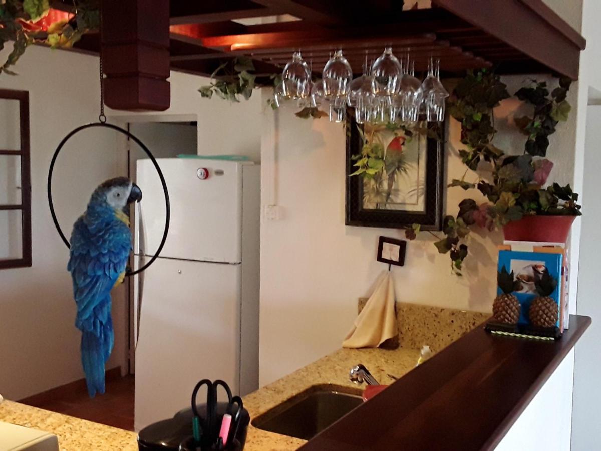 Luxurious Villa In Saint Martin Cul de Sac Ngoại thất bức ảnh